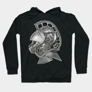 Cat Gladiator Hoodie